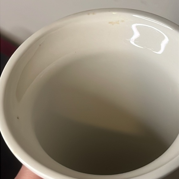 Portmeirion Botanic Garden Serif Vase Helleborus Niger Christmas Rose 9''H - Picture 11 of 12